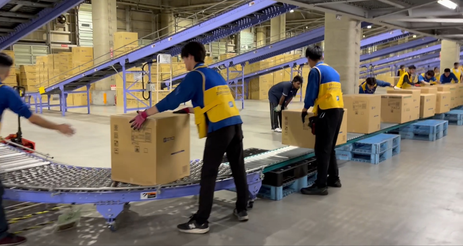 ソーターバックアップ訓練を実施しました